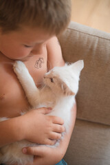 Child playing with baby cat. Kid holding white kitten and kisses him. Little boy snuggling cute pet...