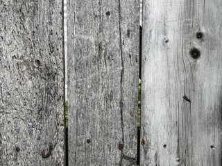 Vintage wood texture of old vertical gray boards