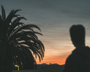 Atardecer balcón tranquilidad con palmera y montaña
