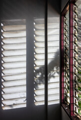 Close-up view of spooky leaf shadows with lights shining through a glass louvered window.