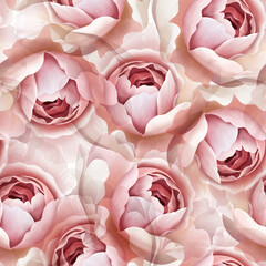 Pink delicate rose flowers. Floral seamless pattern.