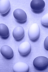 Chicken eggs in a trendy color 2022. Vertical image.