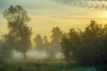 Obraz na płótnie Canvas Autumn fog in the river floodplain. A meadow with a backwater at dawn in a floodplain landscape. In the autumn fog over the river, the leaves sing a farewell song to summer.