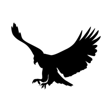 wild eagle silhouette