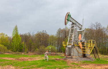 Fototapeta na wymiar Oil deposit. Pump jacks, which are known as nodding donkeys. Crude oil is found in all reservoirs formed in the earth's crust from the remains of once living creatures