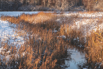 small river runs through snow covered field, dry yellow reeds, sunny weather