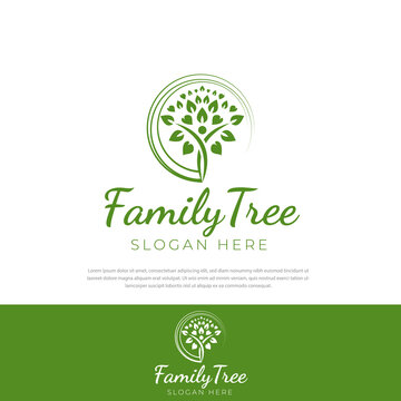 Abstract family tree concept design logo in a circle.icon,leaf symbol,vector design template