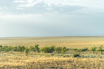 Fototapeta na wymiar prairie, a steppe ecosystem considered part of grassland, savannah, and shrub biome according to ecologists, based on a similar temperate climate, moderate rainfall and grass composition,