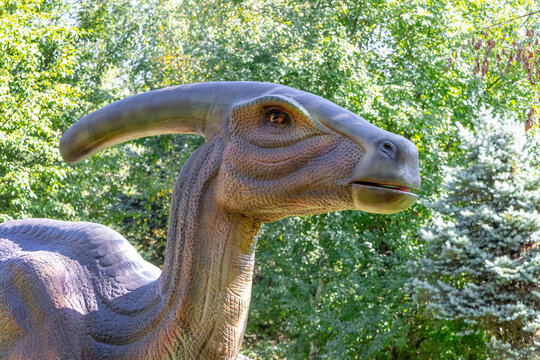 Ukraine, Khmelnitsky, October 2021. Model of a parasaurolophus dinosaur  in the park in sunny weather close up