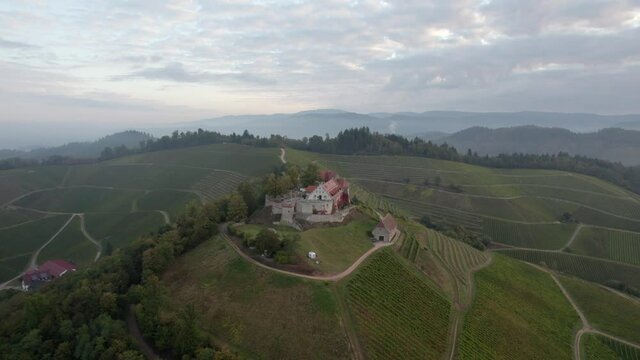 Hillside of Durbach with Staufenberg Castle