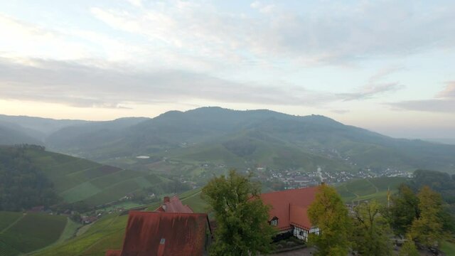 Fly over Staufenbergcastle and reveal scenic town Durbach with its vineyards