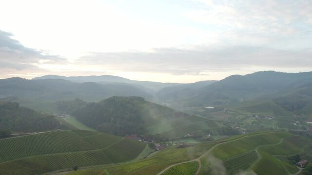 Reveal scenic view of vineyards of Durbach, Germany
