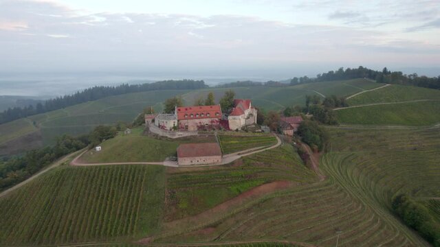 Aerial view of Staufenberg Castle, Durbach, Germany