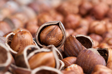 a large number of hazelnuts