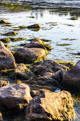 fleuve