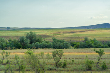 Fototapeta na wymiar steppe, prairie, veld, veld are flat fertile lands dominated by grasses. Prairie grasses hold the soil firmly in place so erosion is minimal. Great Plains. Kazakhstan Great Steppe