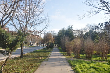 path in the park