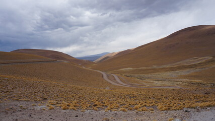 road through high altitude vicuna area