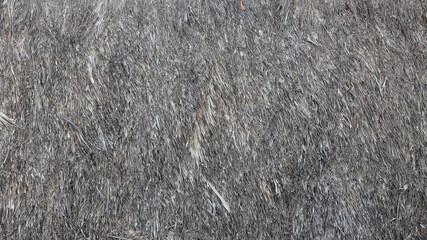 The background of palm leaf roof