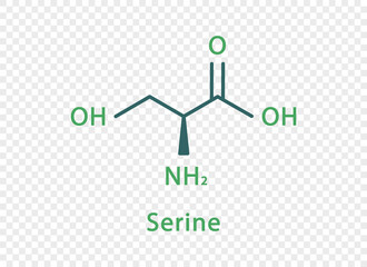 Serine chemical formula. Serine structural chemical formula isolated on transparent background.