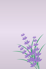 Obraz premium Light background with lavender branch for poster, banner, cover, story