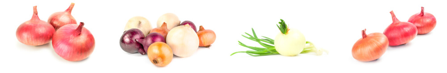 Collage of Onion over a white background