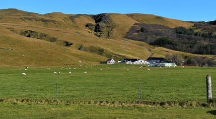 Obraz premium Rural Icelandic farmland