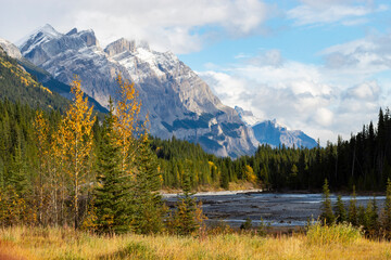 Fototapeta na wymiar River on Icefields Parkway, outside of Jasper Alberta in the fall. Trees changing colour, mountains overlooking water, blue skies with wisps of white clouds.
