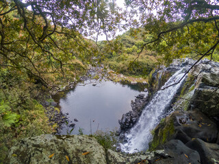 Reunion island waterfall and bassin surounding by tropical forest