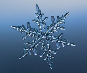 Snowflake on smooth gradient background. Macro photo of real snow crystal on glass surface. This is...
