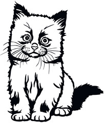 Birman Cat, Peeking kitten - Cheerful kitty isolated on white - vector stock illustration