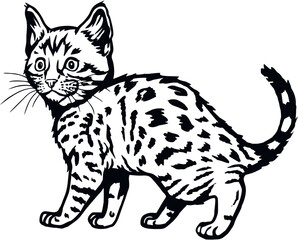 Fototapeta na wymiar Bengal Cat, Peeking kitten - Cheerful kitty isolated on white - vector stock illustration