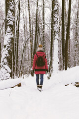 Winter forest and woman walking in snow nature. Rear view of girl in Calming Coral color down jacket and warm hat strolls in woods