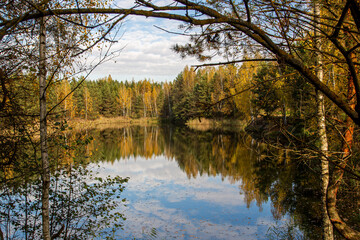 Fototapeta na wymiar Lake in the forest in the autumn