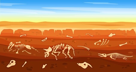Cartoon dinosaur fossils in ground, buried dinosaurs skeleton. Underground soil cross section with prehistoric skeletons vector illustration. Prehistoric animals bones hidden underground © Frogella.stock