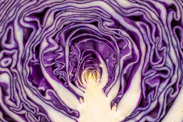 Obraz premium One half of fresh red cabbage, close-up.