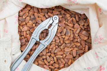 Nutcracker and Hazelnut kernels. Raw food. Organic natural food