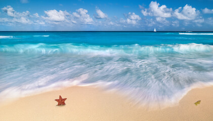 caribbean  beach with waves and star fish