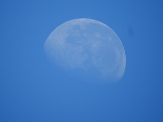 Obraz na płótnie Canvas Moon in the (blue) day sky