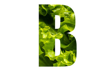 Letter B of the English alphabet made from fresh green lettuce leaves on a white isolated background. Bright alphabet for design