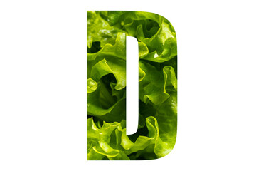 Letter D of the English alphabet made from fresh green lettuce leaves on a white isolated background. Bright alphabet for design