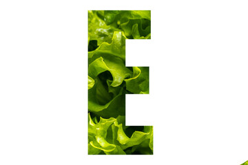 Letter E of the English alphabet made from fresh green lettuce leaves on a white isolated background. Bright alphabet for design