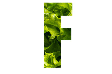 Letter F of the English alphabet made from fresh green lettuce leaves on a white isolated background. Bright alphabet for design