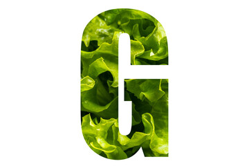 Letter G of the English alphabet made from fresh green lettuce leaves on a white isolated background. Bright alphabet for design