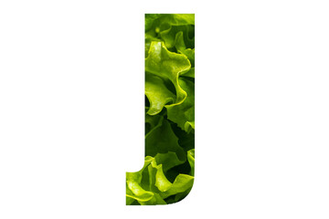 Letter J of the English alphabet made from fresh green lettuce leaves on a white isolated background. Bright alphabet for design