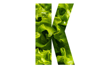 Letter K of the English alphabet made from fresh green lettuce leaves on a white isolated background. Bright alphabet for design