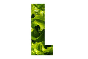 Letter L of the English alphabet made from fresh green lettuce leaves on a white isolated background. Bright alphabet for design