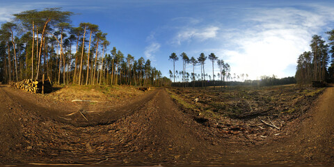 Gravel Road in the forest HDRI Panorama