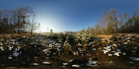 Snow in Winter forest HDRI Panorama