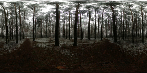 Winter covered with snow Forest HDRI Panorama